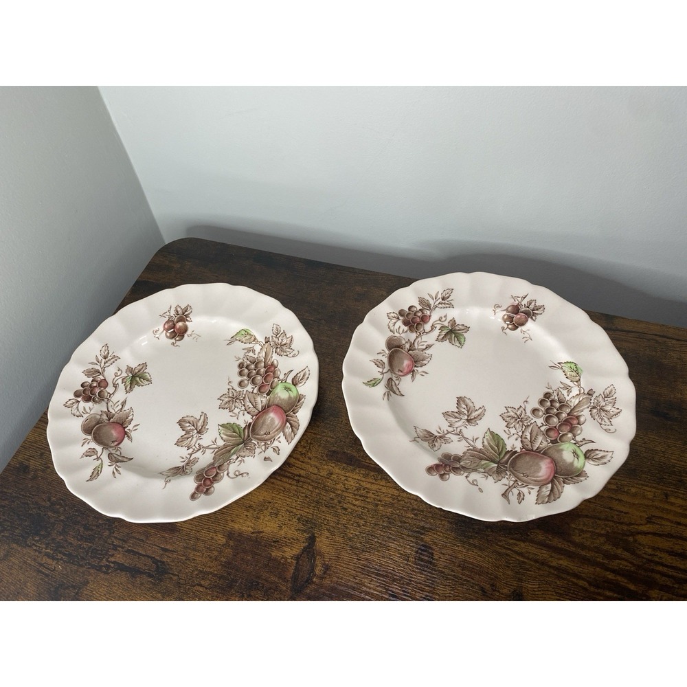 Johnson Brothers 'HARVEST TIME' Thanksgiving Dinner Plates 10" Brown Set Of 2